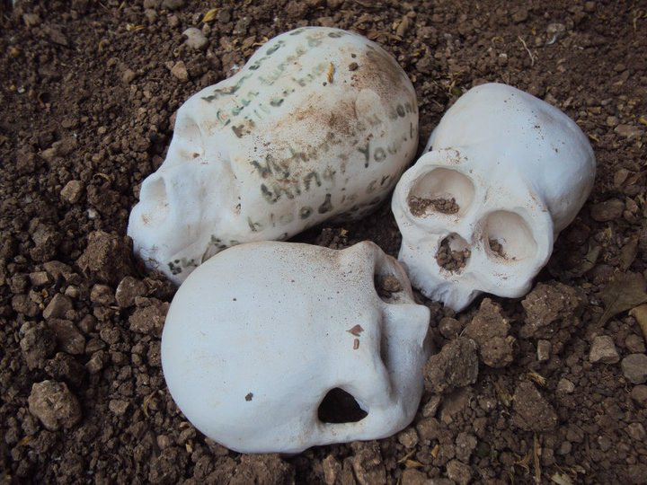 ceramic  skulls  johnies  fine arts