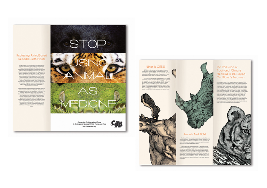 Adobe Portfolio CITES Campaign Project
