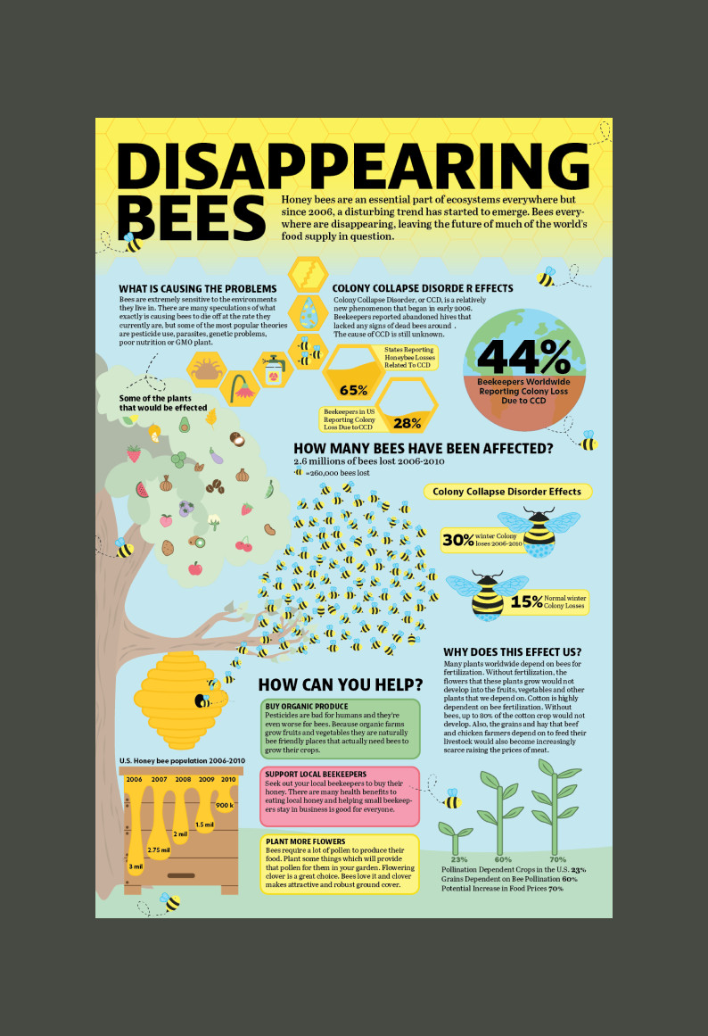 infographic Poster Design poster adobe illustrator Graphic Designer information design infografia bee