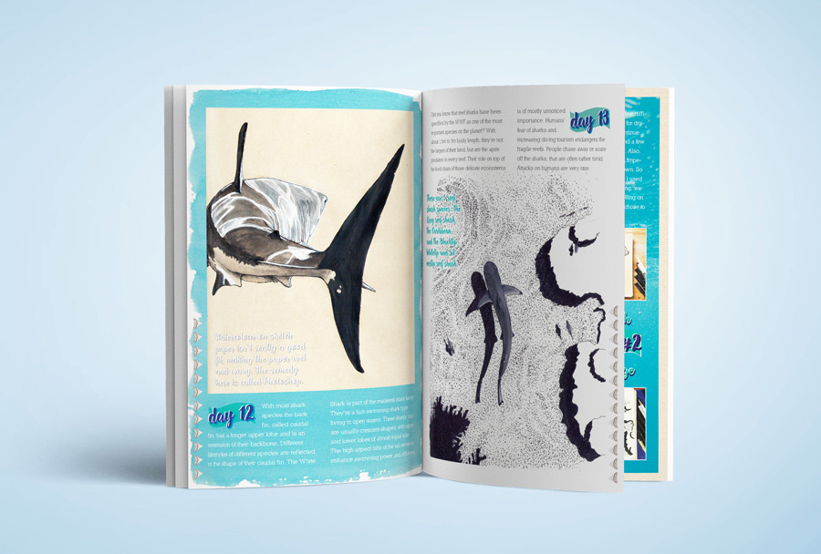 Adobe Portfolio sharks book Ocean sea Drawing  non-profit diving Nature ecosystem educational childrens book planet earth