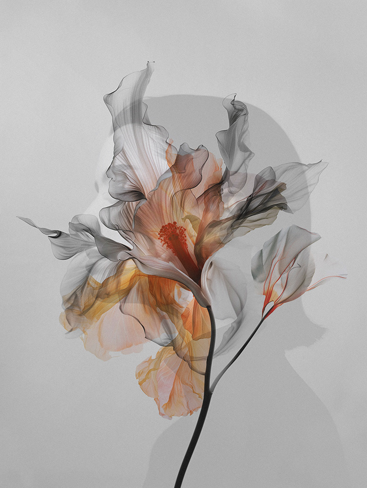 collage mixed media Digital Artwork floral portrait hybrid women botanical Nature in bloom