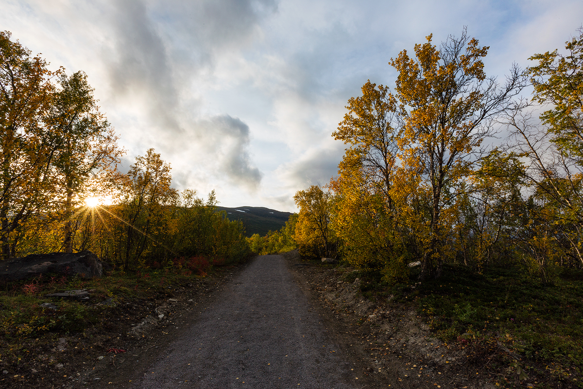 Landscape Nature Northern Lights Sweden Abisko