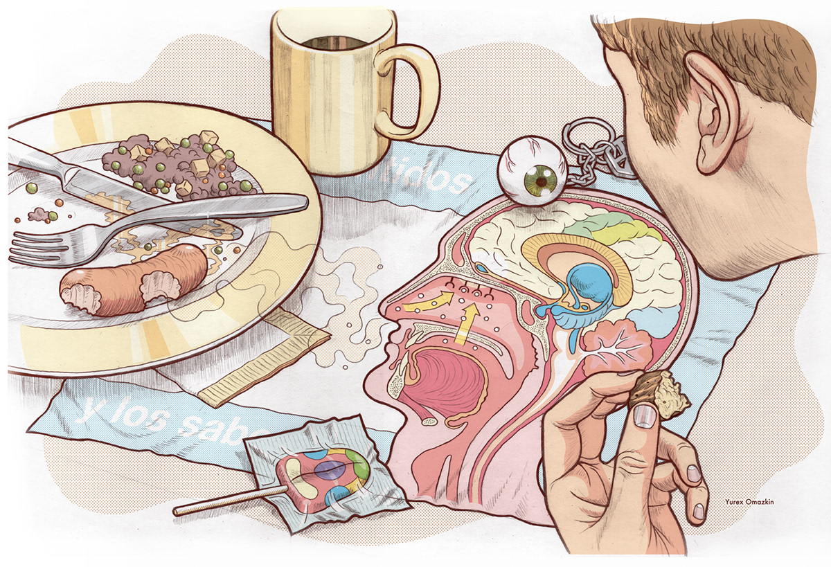 Vector Illustration Food  brain senses science