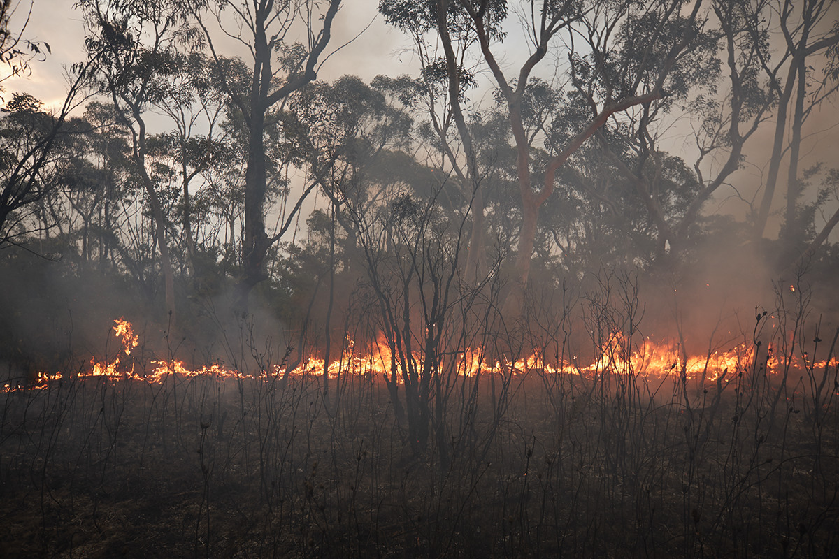 bushfire RFS nsw fire burn off burn Flames smoke Landscape abstract climate change global warming