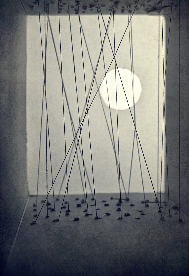 texture box sticks thread paper abstract conceptual light art photos