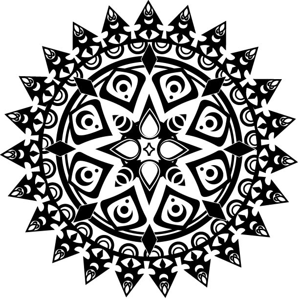 Image result for radial symmetry