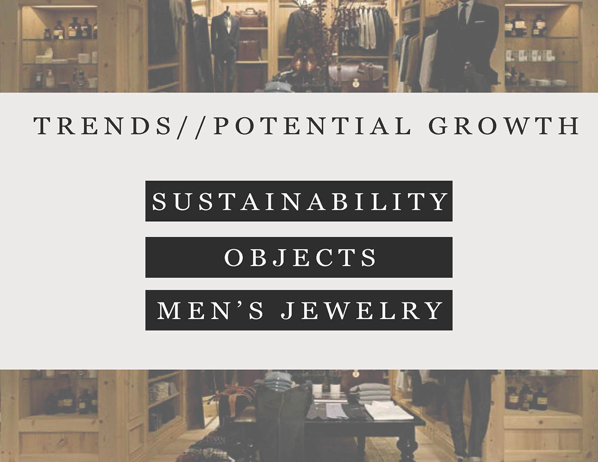 Sustainability environmentally conscious brand building sourcing Metals and Jewelry objects Consumer Research brand strategy assortment plan Business plan