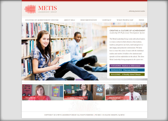 metis leadership group Web icons Collateral branding system