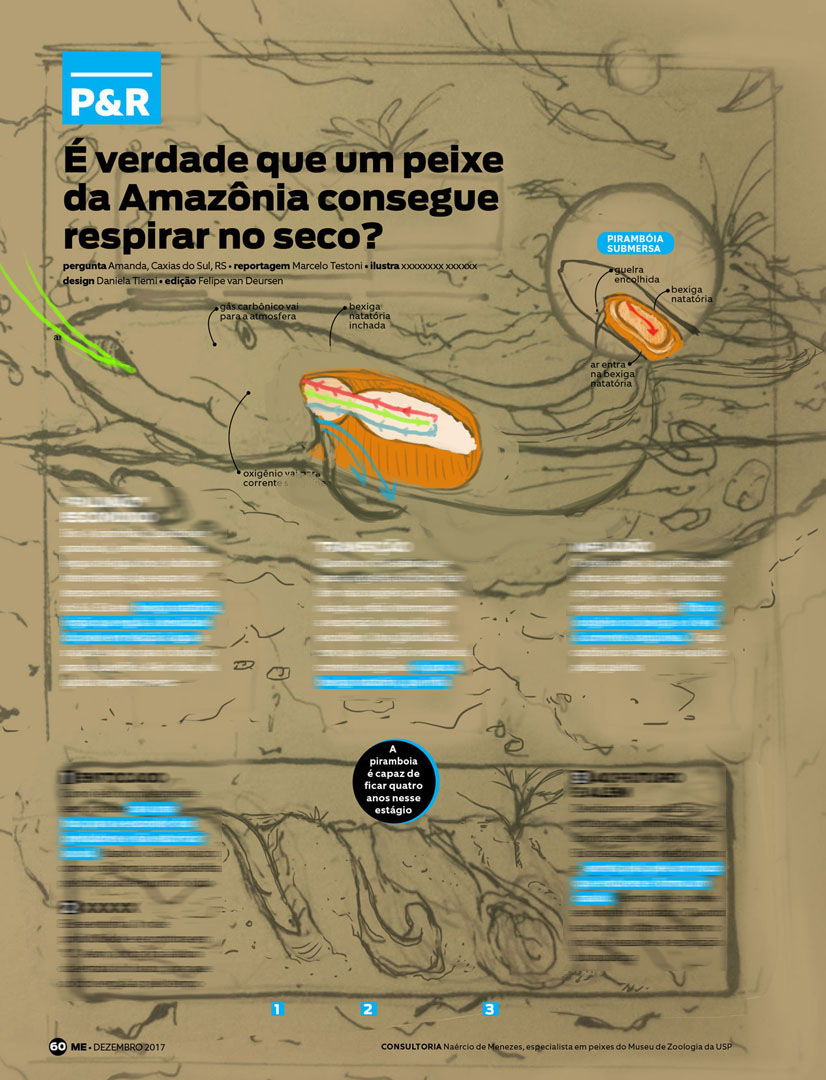 amazonia infográfico Mundo Estranho Digital Art  ILLUSTRATION  infographic