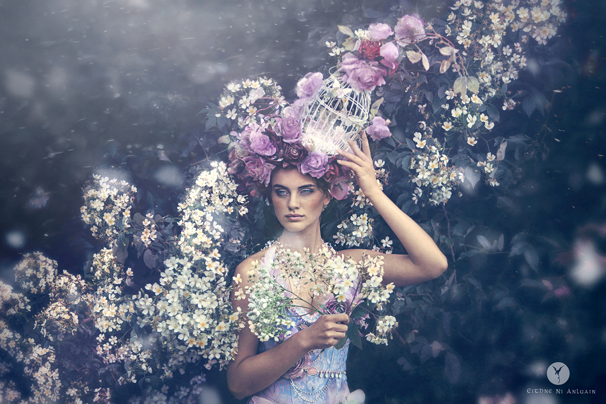 fantasy coustume millinary headpiece rose Canon Fashion  flower summer conceptual