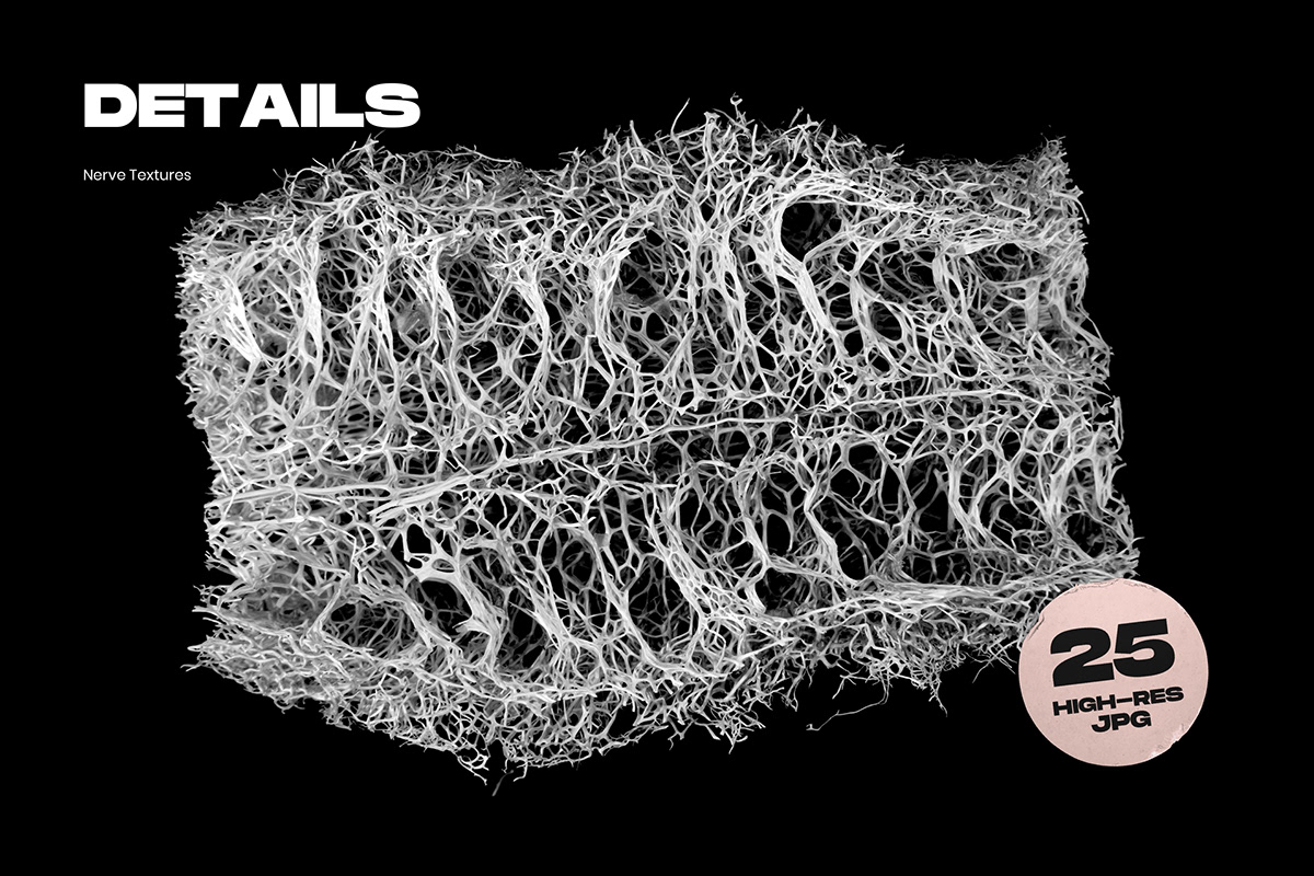 texture textures Mockup Nerve neural network organic biological biology