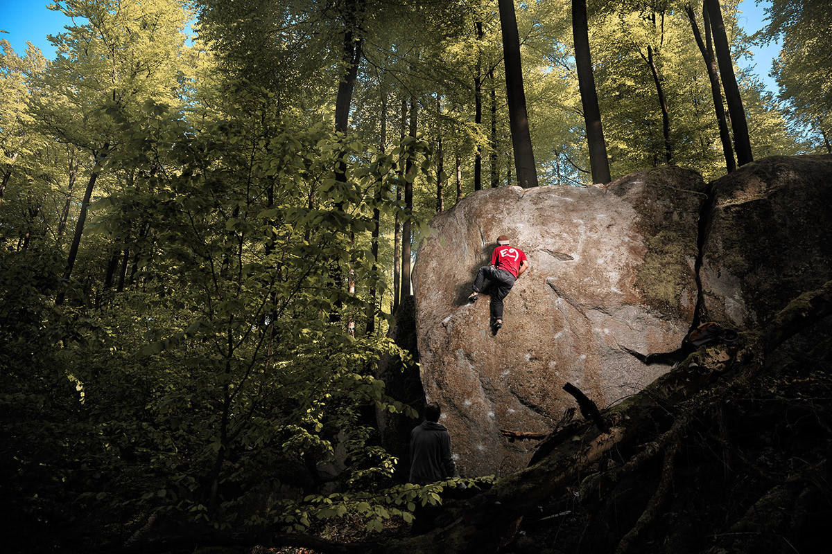 bouldering climbing forest light colorgrading