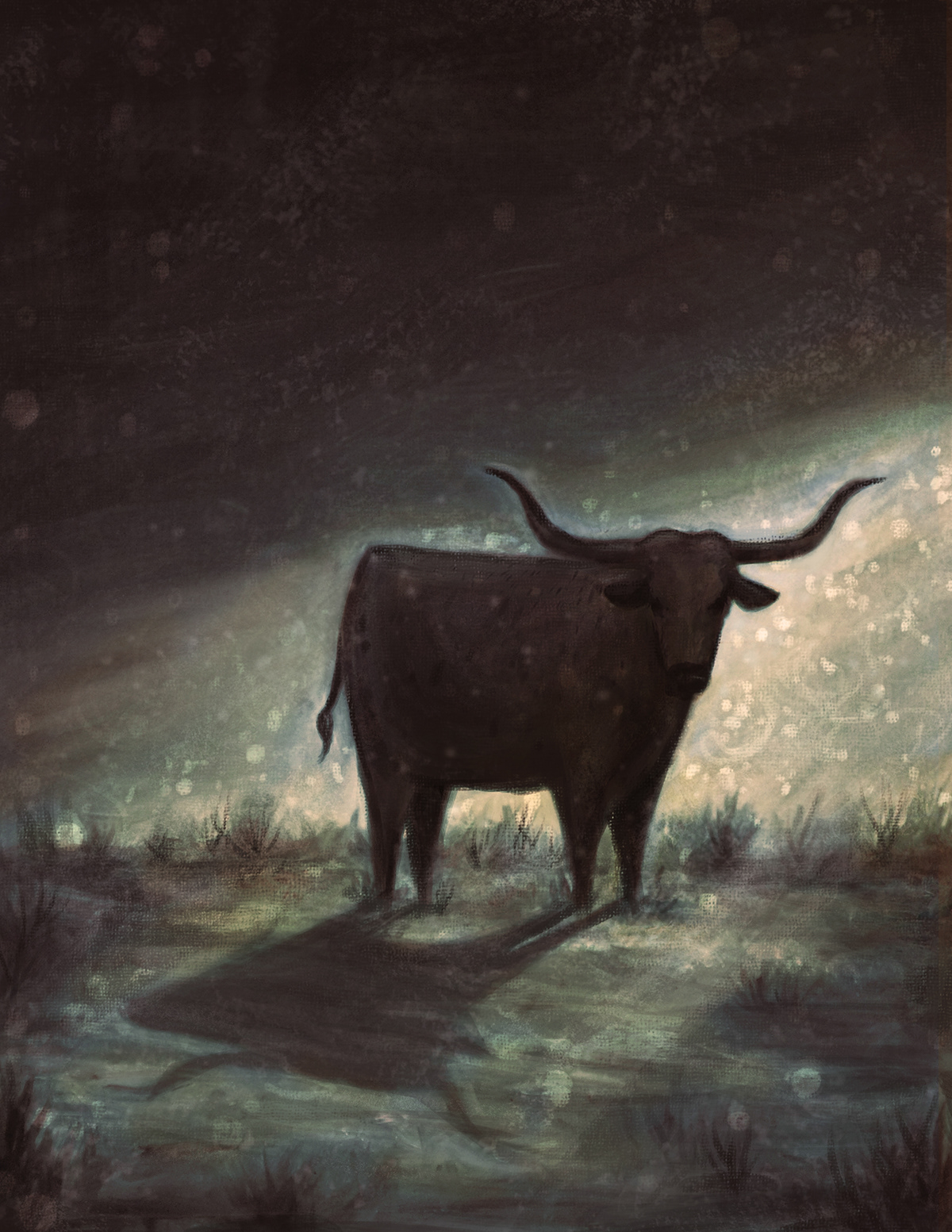 Oil Painting oil on board art digital digital illustration tradigital editorial half skinned steer Annie Proulx