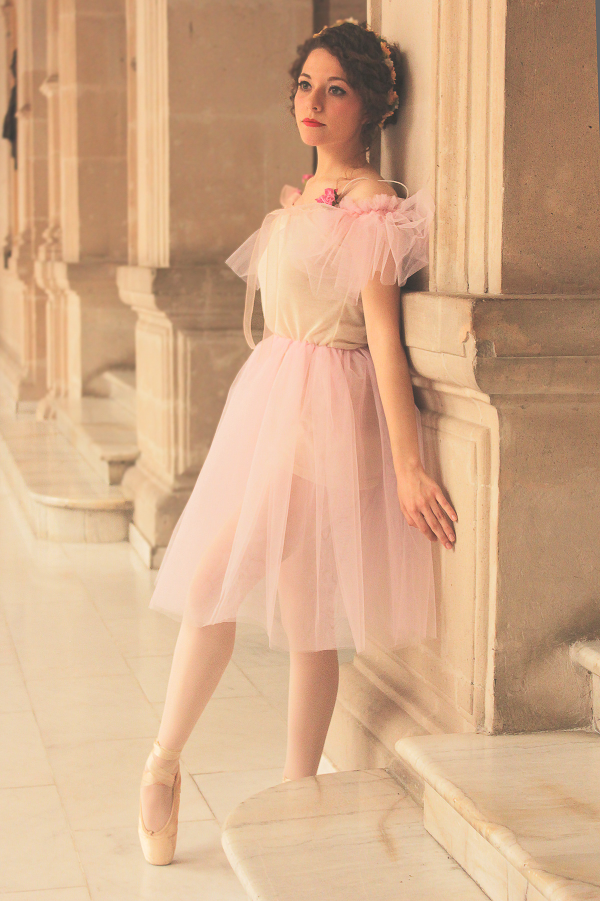 ballet ballet dancer tutu ballerina dress ballet dress cute ballerina ballet photoshoot chihuahua Arely Flores  palacio de gobierno