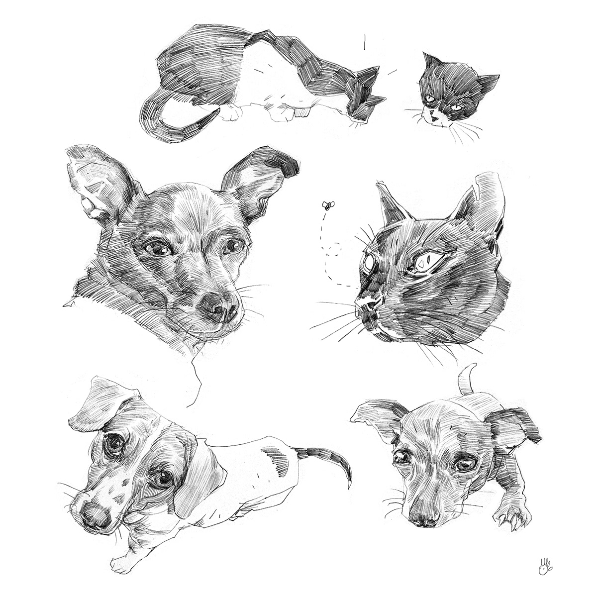 ilustracion boceto dibujo personas sketchbook dogs people cats draw Flowers
