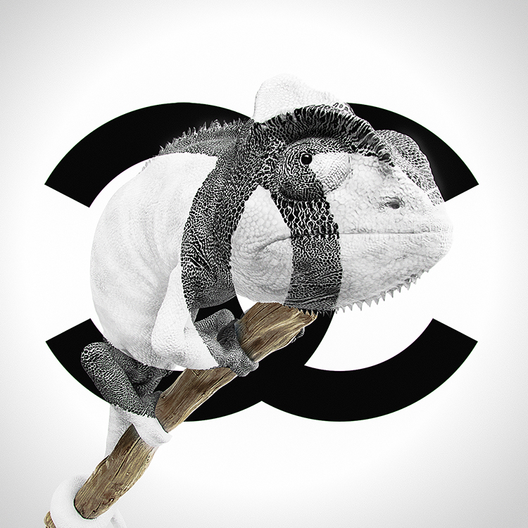 cameleon chameleon 3D vuiton adidas chanel CGI