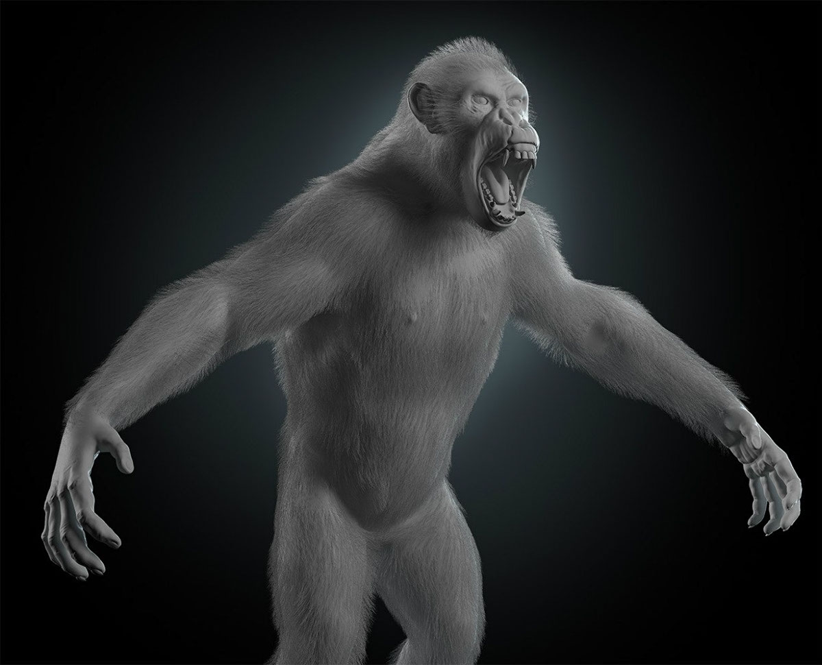 shimpanzee Fur ILLUSTRATION  modeling Render
