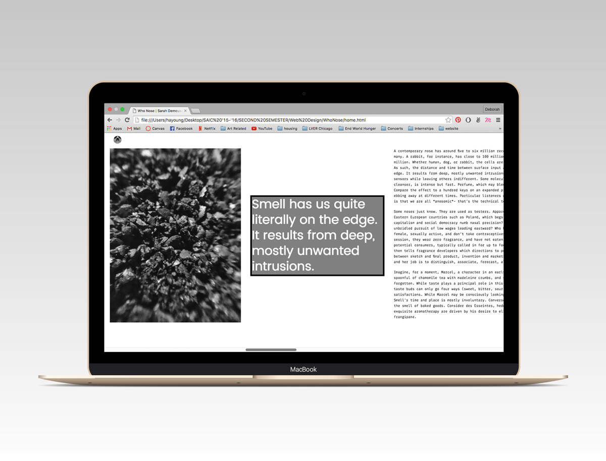 Website editorial conceptual nose SAIC Webdesign