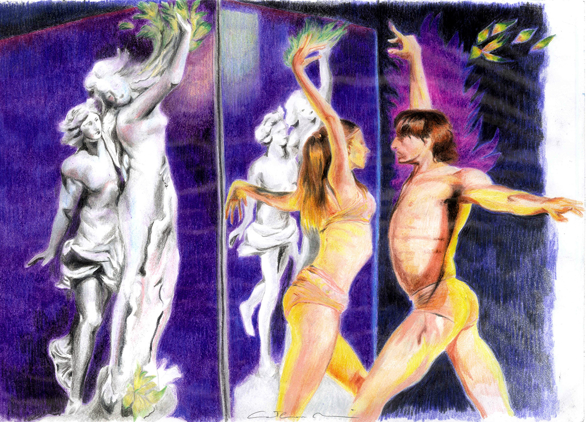 dancer dancers Apollo Daphne crayon Tree  laurel oak Bay Tree DANCE   statue sculpture Marble couple partners