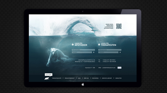 artic bear Web design Webdesign Pharma snow cold White Southpole northpole blizzart art screen