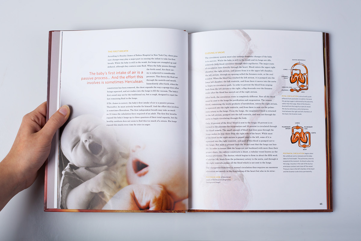 time life growth redesign editorial book Chapters spreads collage baby babies children human body science