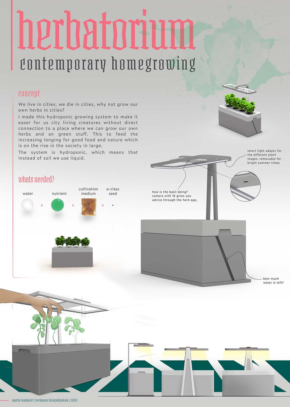 plants herbs greenhouse Sustainability Food  hydrophonics