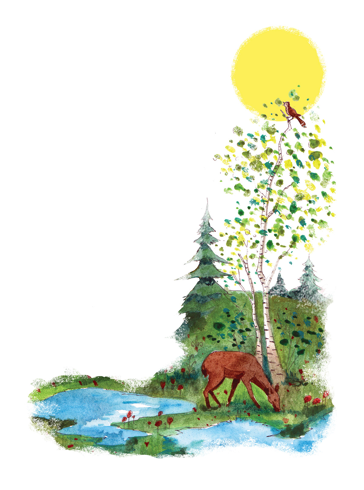 fairy educatioonal book book illustration