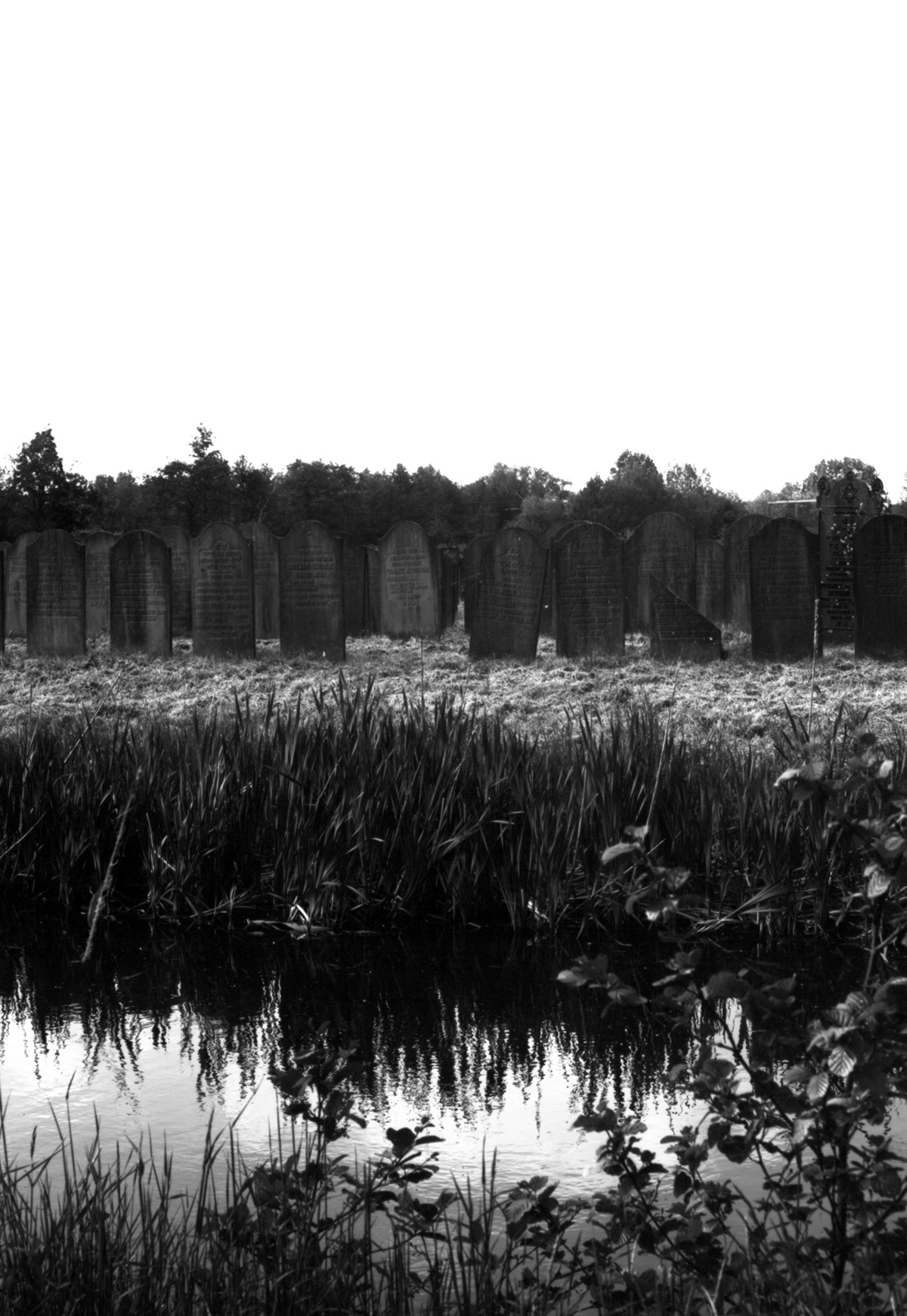 35mm cemetery dark death gothic graveyard monochrome Photography  spiderweb stone