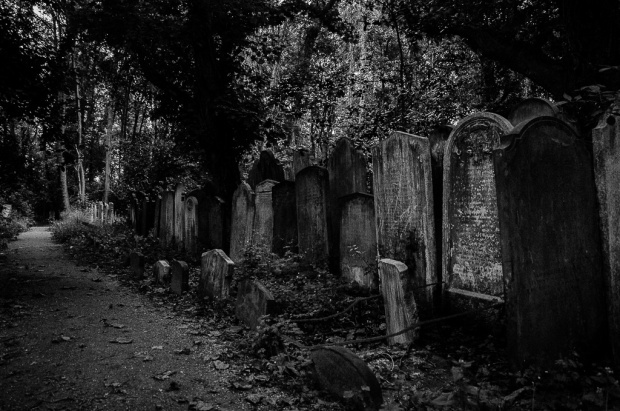 photojoirnalism death cemetery black and white London magnificent cemeteries dark horror Scary dead