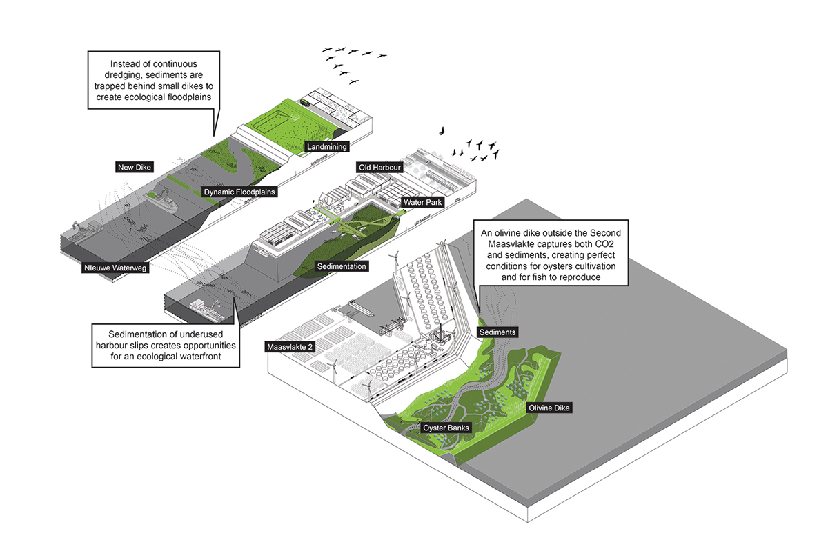 URBAN METABOLISM Rotterdam iabr urbanism   regional strategies