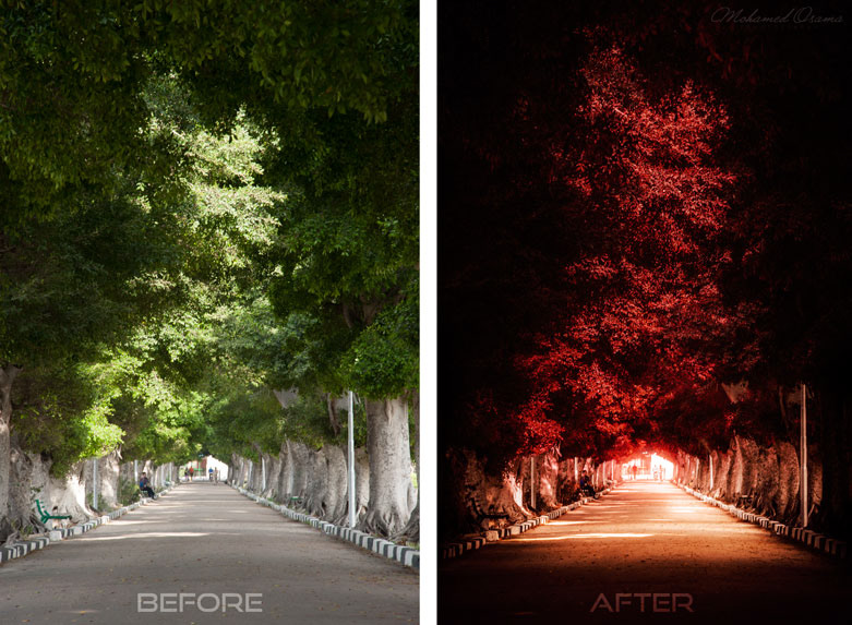 retouch art digital manipulation photoshop lightroom Editing  before after result Original edit design graphic