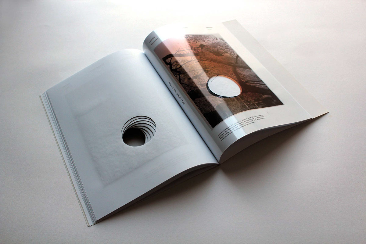 book visual identity identity japan japanese colour logo Experience culture circle home