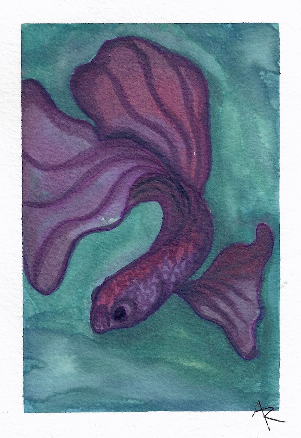 watercolor doodles pen fish painting  