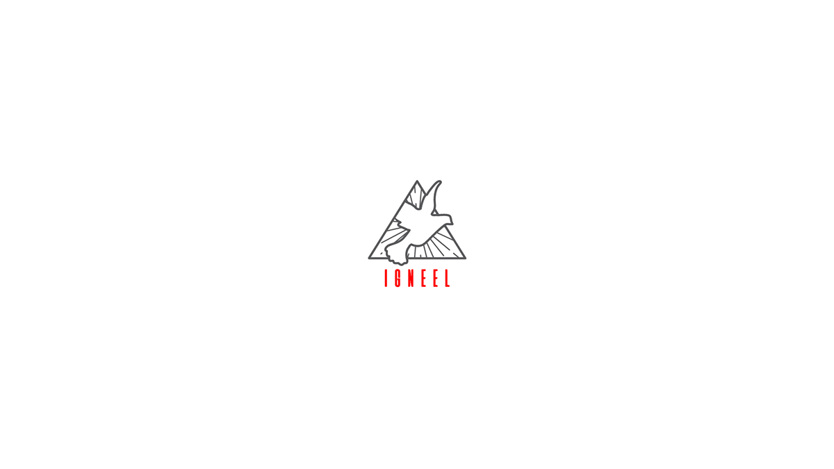 logo modern Hipster triangle identity bird freedom line art lines musician dj