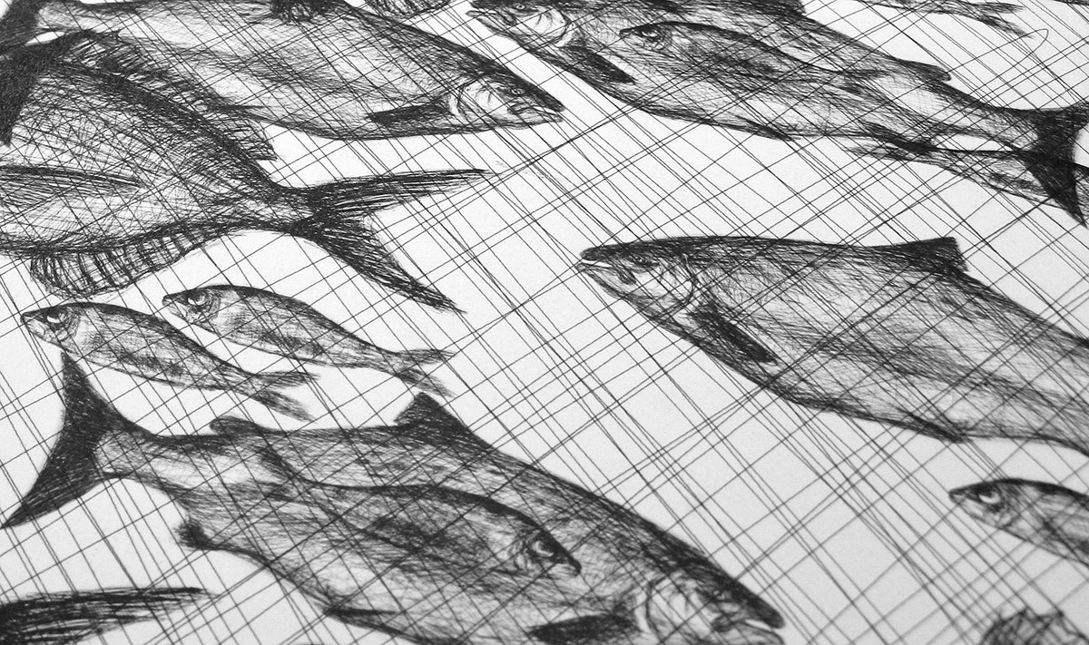 silvia cairol la peixateria restaurant menu fish drawing fish