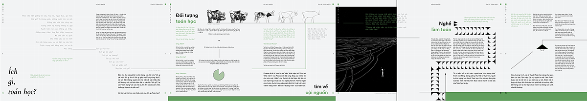 math Education geometric minimal editorial design  magazine School Project graphic design  PI Layout