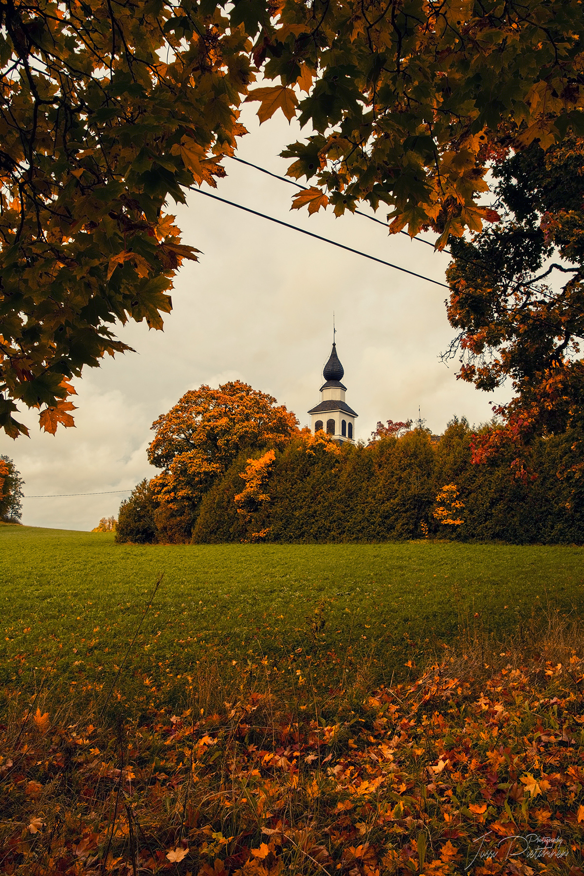 Adobe Portfolio autumn syksy Ruska helsinki Fall fallcolors