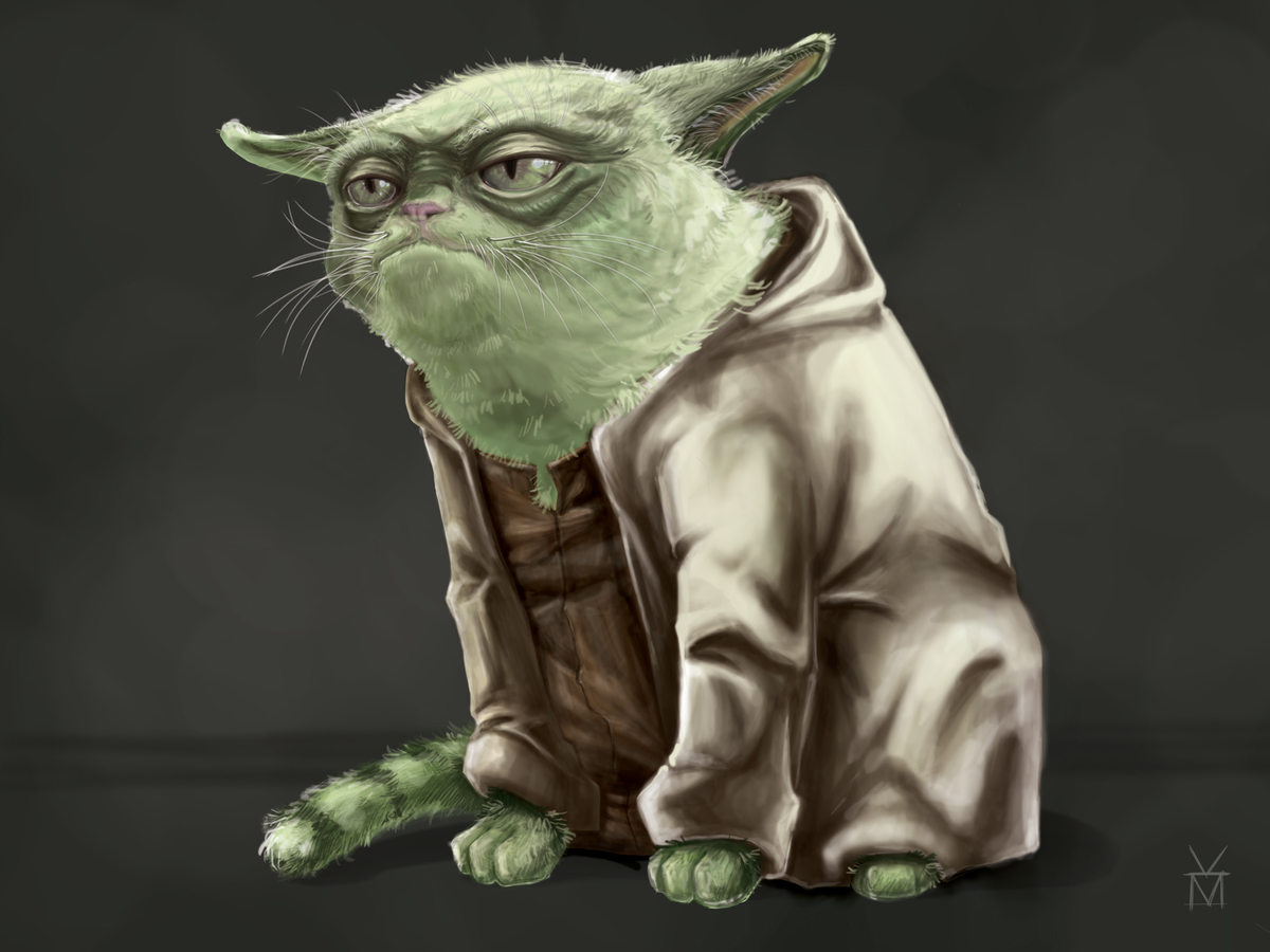 star wars Starwars yoda Cat jedi Master movie character fanart