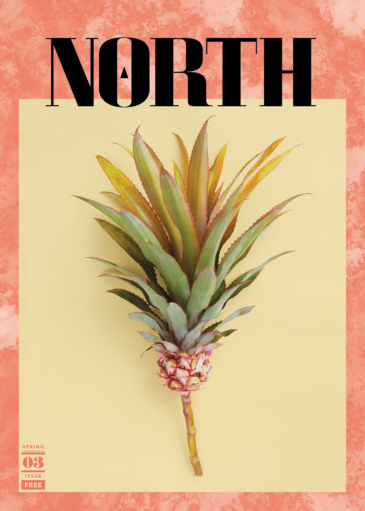North Journal newspaper Magazine design publishing   Pineapple spring