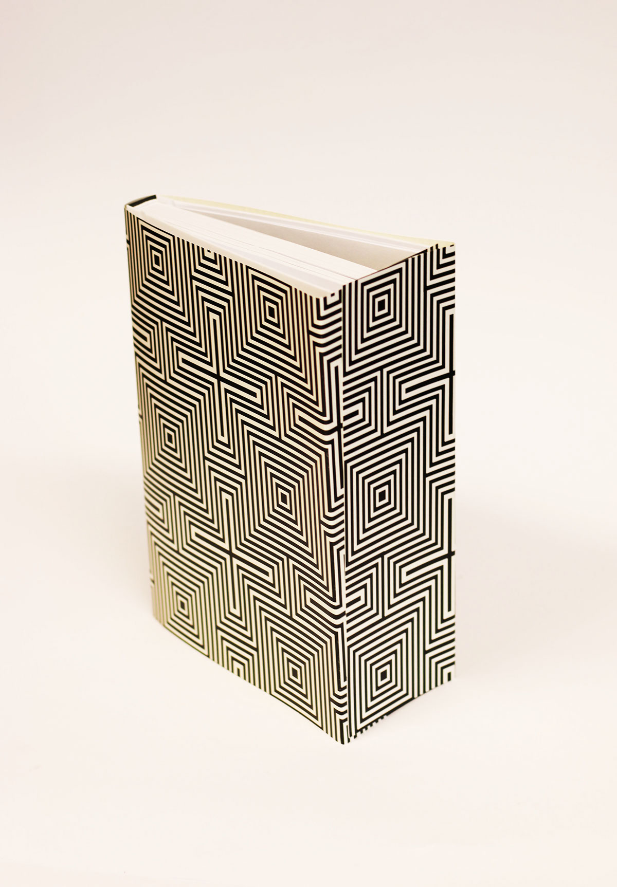 notre dame book optical illusion book design black and white