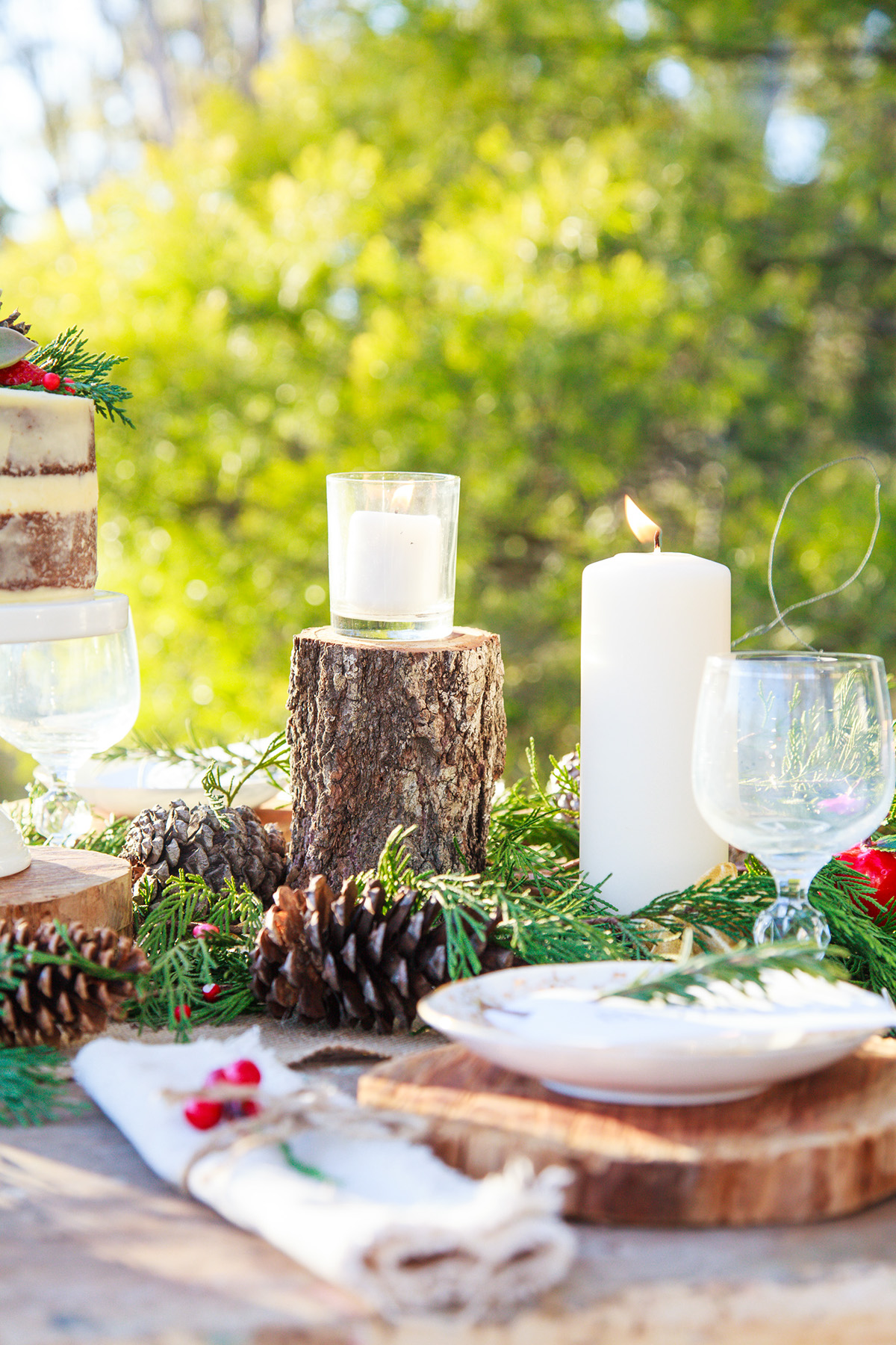 rustic Christmas tablescape Outdoor Paddock wedding Naked Cake natural setting