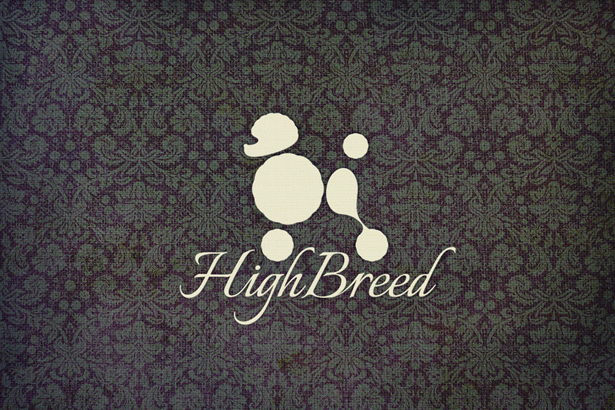 interactive Illustrator dog Retro rich hybridization high Breed