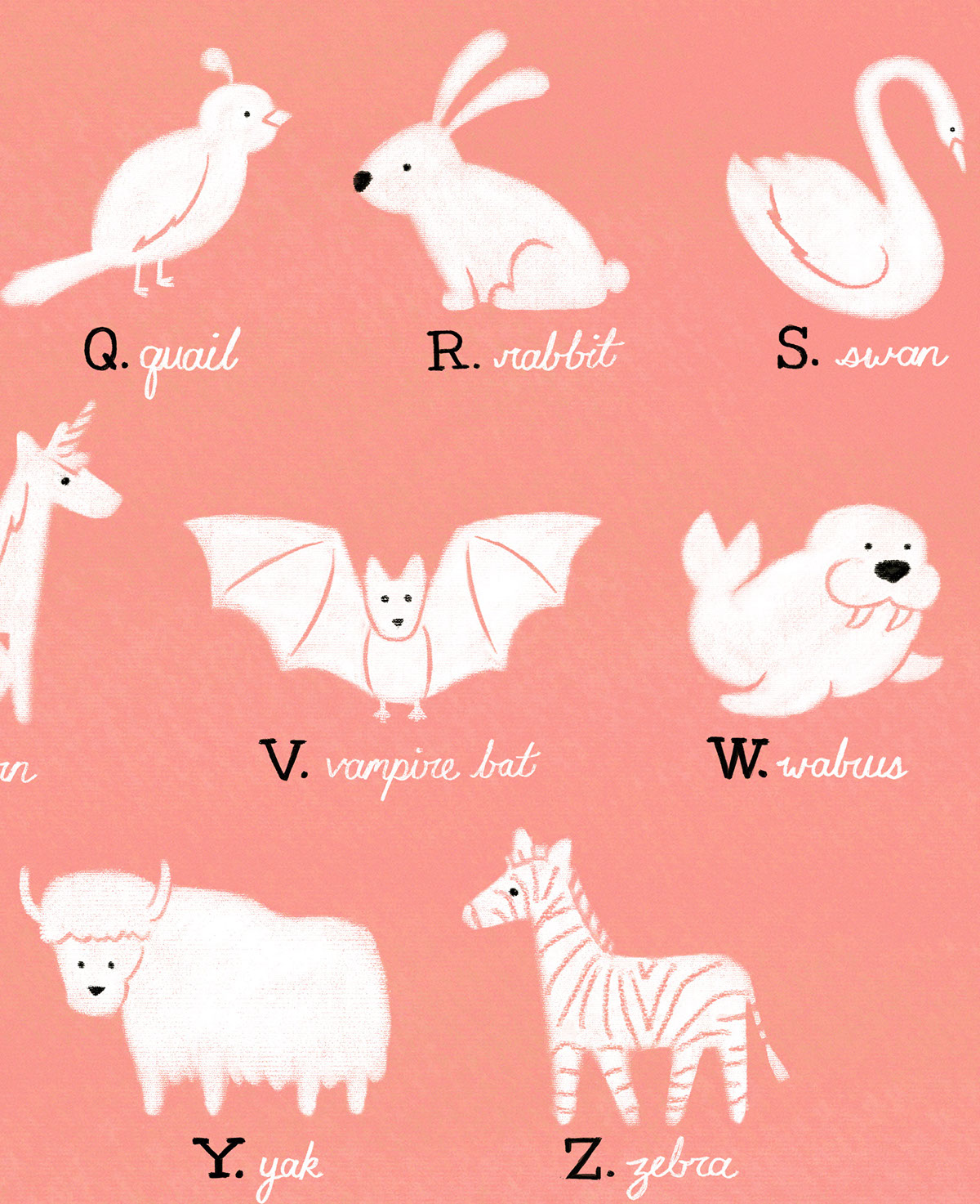 animal poster alphabet poster children's illustration bear narwhal Cat dog rabbit fish mouse lion kangaroo