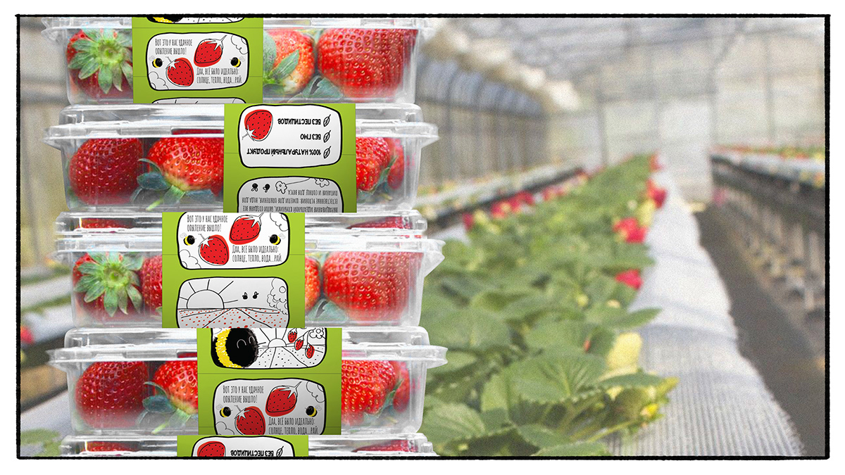 fruits ILLUSTRATION  Label Packaging strawberry berry