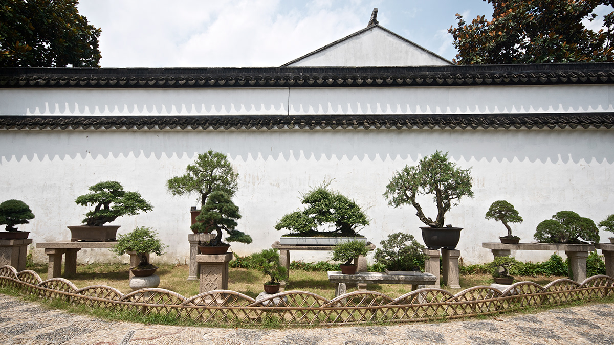 Suzhou garden chinese traditional Landscape china