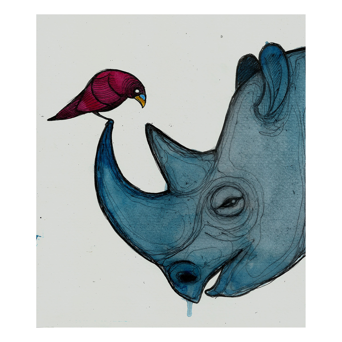 Rhino bird Nature animal animales color red blue moleskine paper watercolor water art draw paint