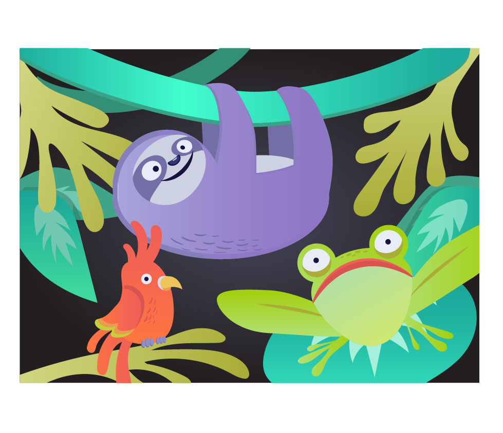 sloth jungle Character design  frog parrot ILLUSTRATION 