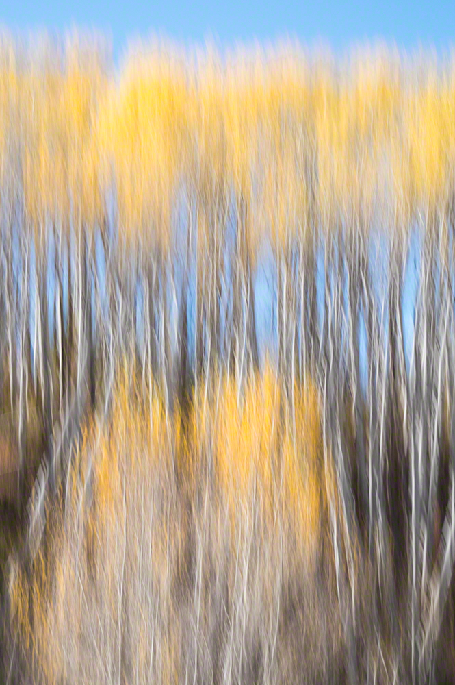 Nature impressionism abstract ICM intentional camera movement blur