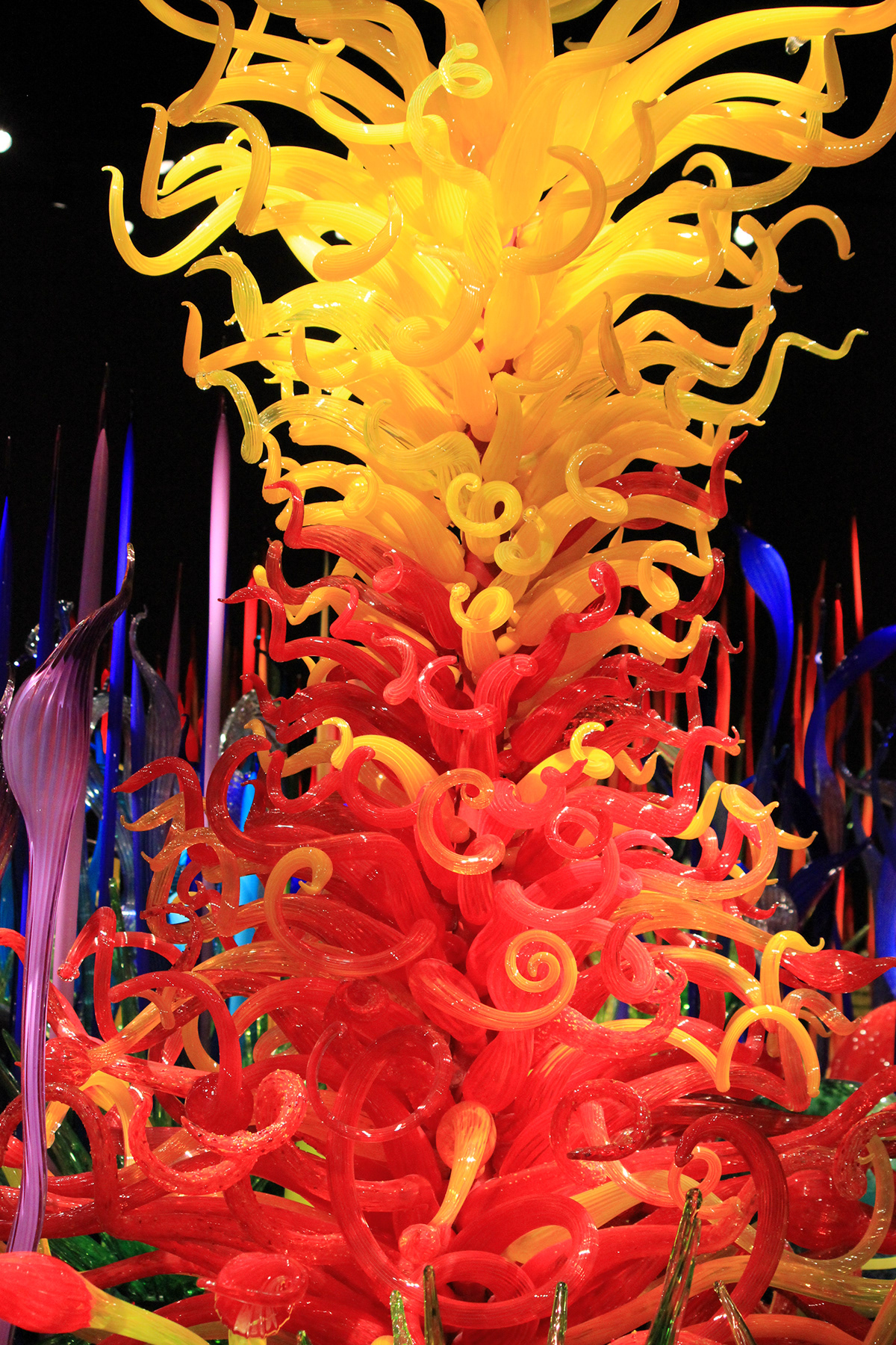 Chihuly Garden & glass