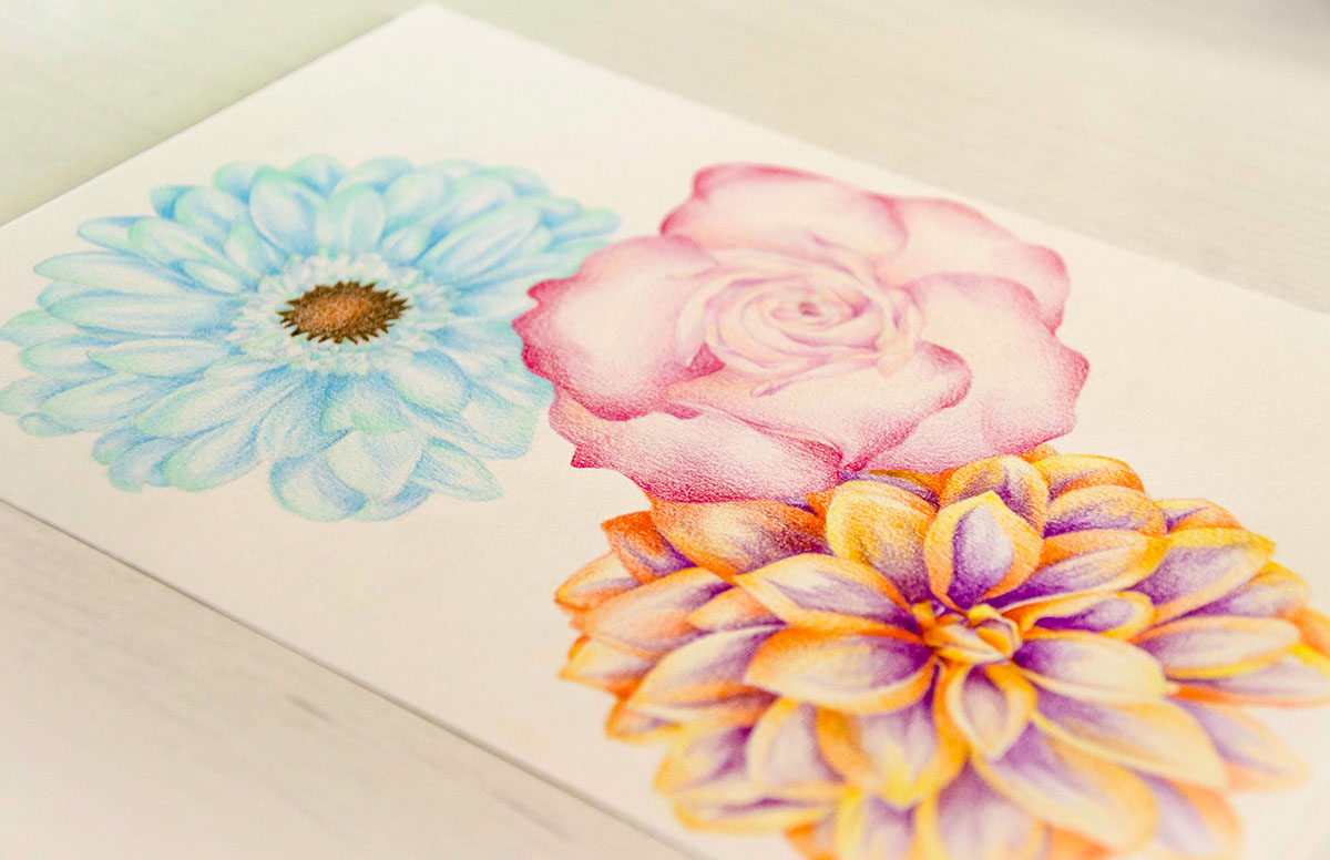flower colour art paper pencil digital media shape frame pattern
